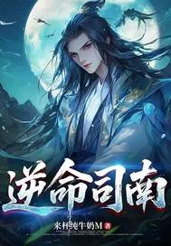 《逆命司南》小说封面