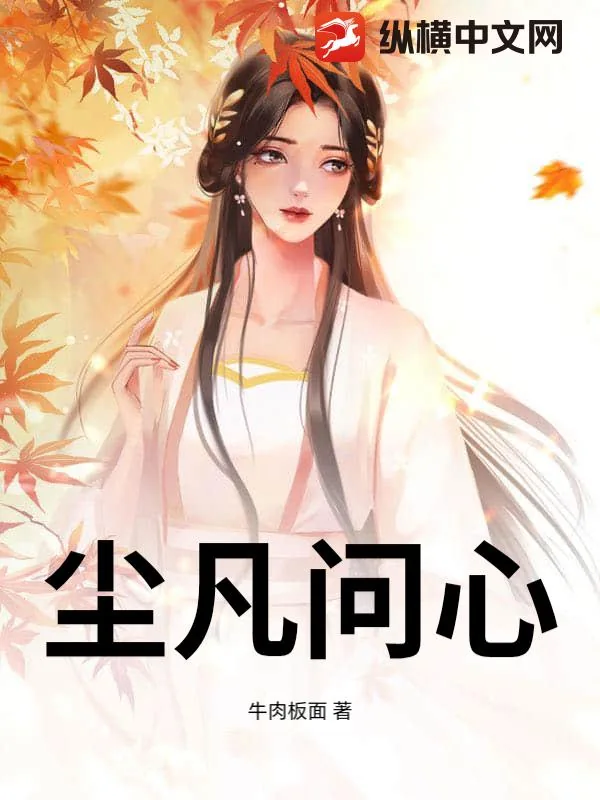 《尘凡问心》小说封面