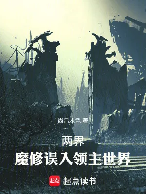 《两界：魔修误入领主世界》小说封面
