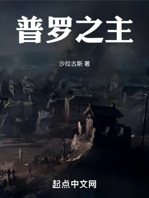 《普罗之主》小说封面
