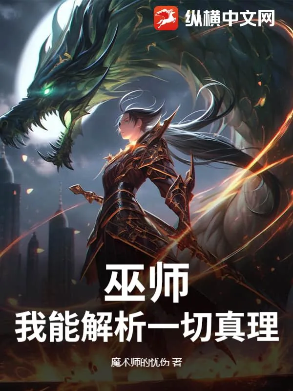 《巫师：我能解析一切真理》小说封面
