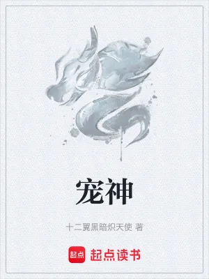 《宠神》小说封面