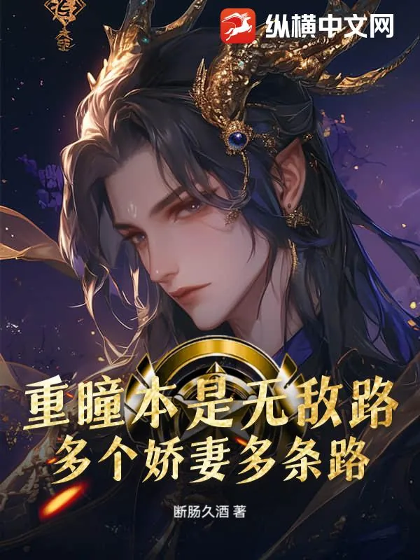 《重瞳本是无敌路，多个娇妻多条路》小说封面