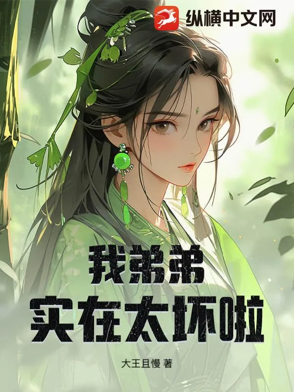 《我弟弟实在太坏啦》小说封面