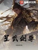 《星武剑尊》小说封面