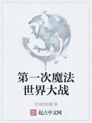 《第一次魔法世界大战》小说封面