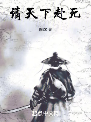 《请天下赴死》小说封面