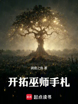 《开拓巫师手札》小说封面