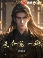 《天命第一神》小说封面