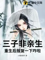 《三子非亲生，重生后报复一下咋啦》小说封面