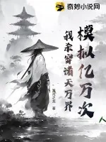 《模拟亿万次，我杀穿诸天万界》小说封面