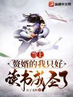 《当上赘婿的我只好读书成圣了》小说封面