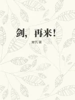 《剑，再来！》小说封面