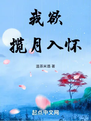 《我欲九天揽月》小说封面