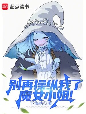 《别再操纵我了，魔女小姐！》小说封面