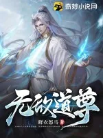 《无敌道尊》小说封面