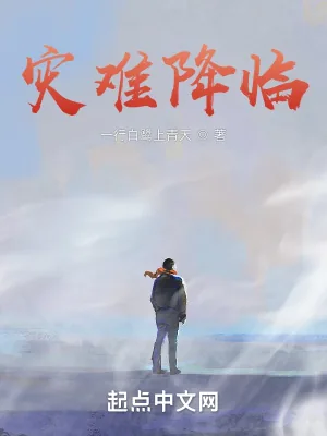 《灾难降临》小说封面