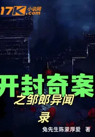 《开封奇案之邹郎异闻录》小说封面