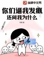 《你们逼我发癫，还问我为什么？》小说封面