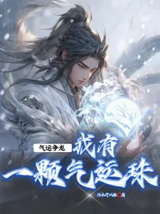 《气运争龙，我有一颗夺运珠》小说封面