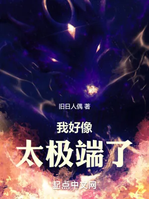 《我好像太极端了》小说封面