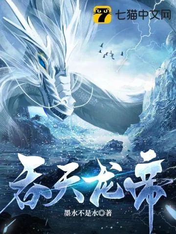 《吞天龙帝》小说封面