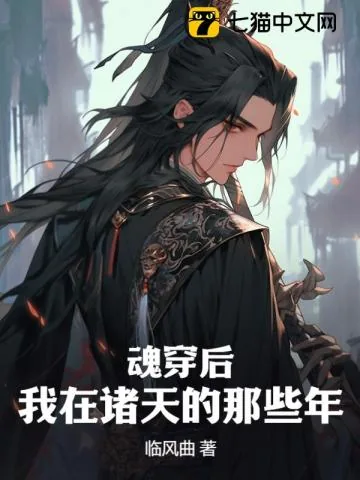 《魂穿后，我在诸天的那些年》小说封面