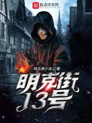 《明克街13号》小说封面