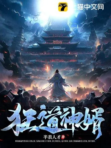 《狂道神婿》小说封面