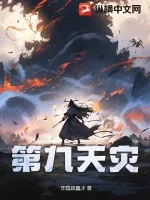 《第九天灾》小说封面
