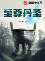 《至尊丹圣》小说封面