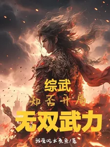 《综武！知否开局！无双武力》小说封面