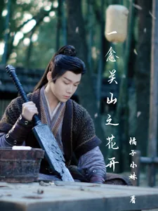 《一念关山之花开》小说封面