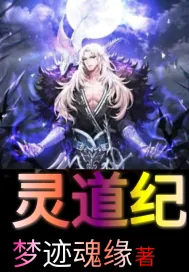 《灵道纪》小说封面