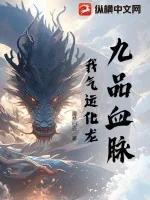 《九品血脉：我气运化龙》小说封面