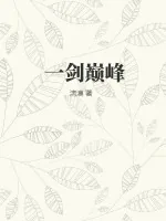 《一剑巅峰》小说封面