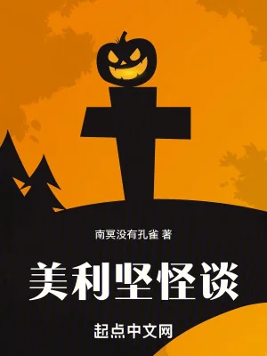 《美利坚怪谈》小说封面