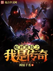 《哈利波特之我是传奇》小说封面