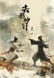 《去邪神针》小说封面