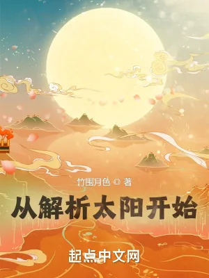《从解析太阳开始》小说封面