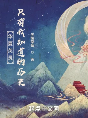 《英灵召唤：只有我知道的历史》小说封面