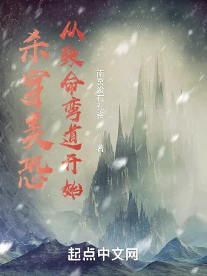 《杀穿美恐从致命弯道开始》小说封面