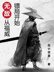 《综武：无敌从福威镖局开始》小说封面