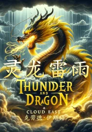 《灵龙雷雨》小说封面