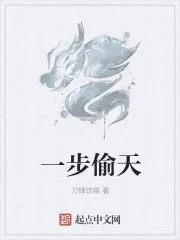 《一步偷天》小说封面