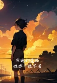 《夜晚的道路》小说封面