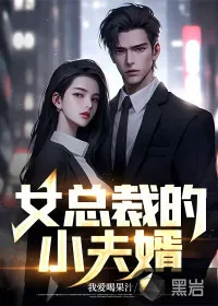 《女总裁的小夫婿》小说封面