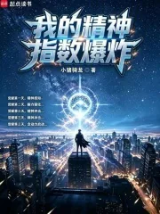 《我的精神指数爆炸》小说封面