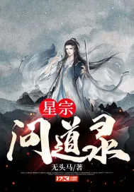 《星宗问道录》小说封面