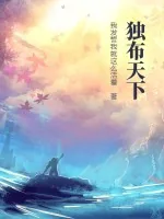 《独布天下》小说封面